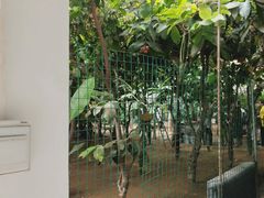 -北戴河集发农业梦想王国