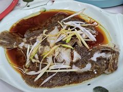 清蒸小多宝鱼-北戴河庆山饭店·海鲜砂锅粥(北戴河黑石路店)
