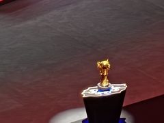 -梦之蓝青奥体育公园体育馆