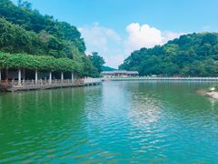-广州市帽峰山景区