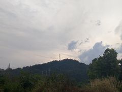 -浙江农林大学(东湖校区)