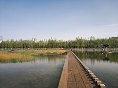 -党河风情线国家水利风景区