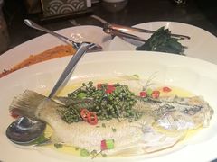 -海派悦庭·海胆烧麦·新融合菜(凯德广场店)