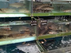 -永辉超市(新世界店)