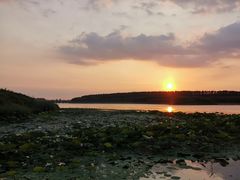-丁香湖公园