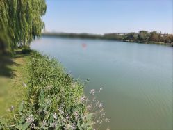 -剑鱼皮划艇俱乐部(石湖基地)