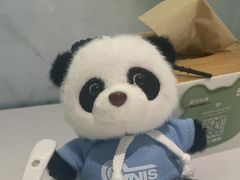 -眉州东坡·熊猫主题餐厅(枫蓝店)
