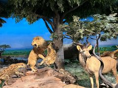 -国家自然博物馆