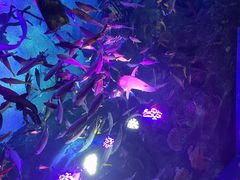 -沈阳海洋探索中心