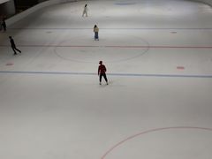 -TheRink大零溜冰场(IFS国金中心店)