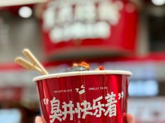 -黑色经典臭豆腐·湖南特产(坡子街店)