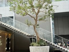 -深圳湾万象城(南山店)