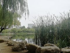 -青城公园