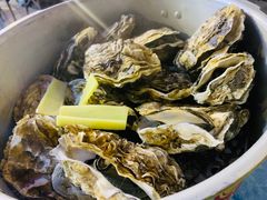 -千岛蚝高压锅生蚝·人参火锅(白云万达店)