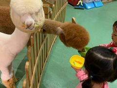 -藦茜花园宠物主题亲子互动体验馆(国顺东路店)
