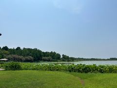 -东滩湿地公园观海楼餐厅