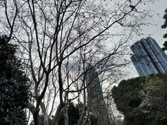 -人民公园-相亲角