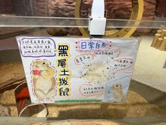 -正佳雨林生态植物园