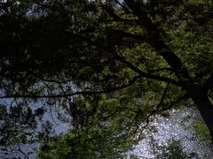 -蒋氏故居