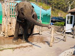 -大连森林动物园