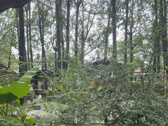 -林间山庄