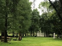 -南宁良凤江国家森林公园