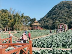 -广州市石门国家森林公园