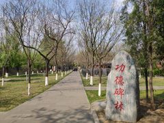-大槐树寻根祭祖园