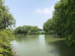 -苏州太湖国家湿地公园