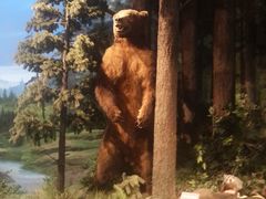 -陕西自然博物馆