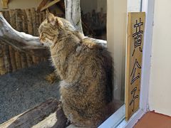 -青藏高原野生动物园