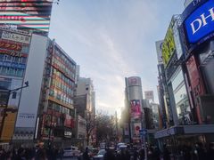 -涩谷区