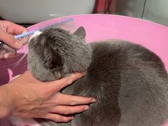 -FAELING PETS美天灵宠物(合生汇店)