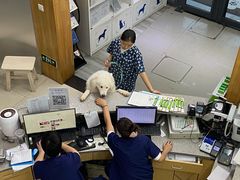 -爱侣宠医·鹦鹉专科·小型哺乳类·异宠专科(灵石路店)