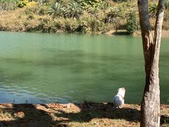 -孔雀湖生态旅游区