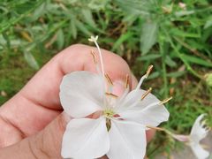 -郑东新区龙湖公共艺术中心