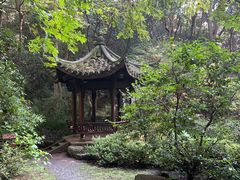 -虎跑公园