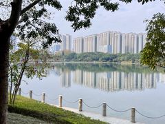 -南宁南湖公园