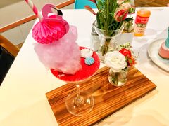 火烈鸟-随心小姐