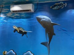 -小海豚•老字号海鲜餐厅(天涯店)