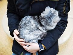 -宠颐生中康贝怡动物医院