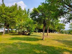 -飞来湖湿地公园