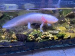 -Zoolung Zoolung动物主题公园(海信广场店)