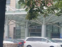 -上海中医药大学附属曙光医院(东部)