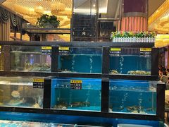 -聚鑫阁江浙菜·非遗传承技艺(青村帝华园店)