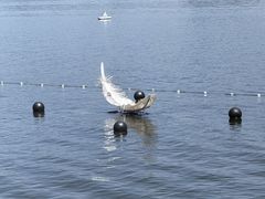 -月光岛(五龙岛)