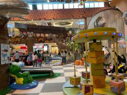 -卡通尼·Safari非洲探索乐园·生日会(金桥国际商业广场店)