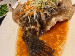 -羊门客在·烤盐池滩羊·川菜