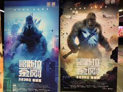 -SFC上影影城(成都科华IMAX店)