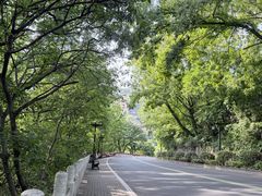 -句容茅山景区
